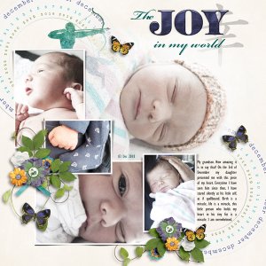 The Joy In My World