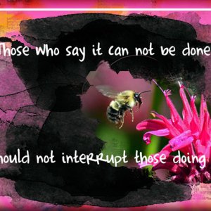 ATC 2018-115 Those Who Say