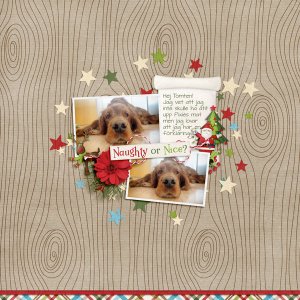 Dec-18 Scraplift challenge