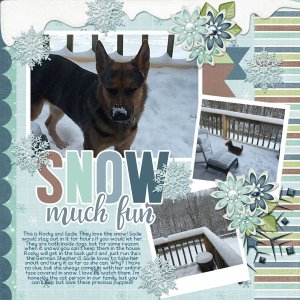 Puppies in the Snow