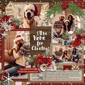 home for christmas