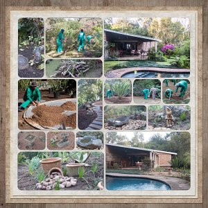 Garden Renovation LHS