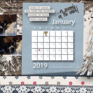 January calendar