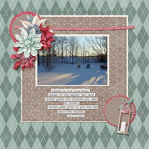 Winter Day