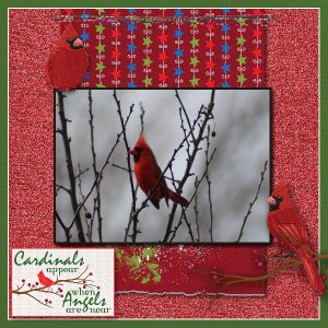 Cardinals