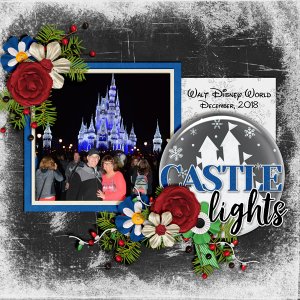 Castle-Lights