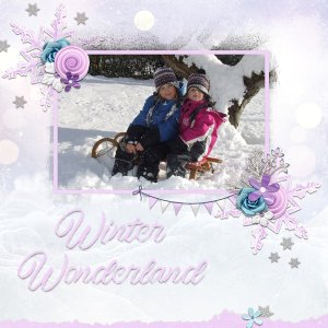 winter wonderland