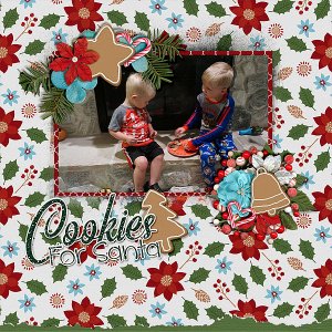 cookies-for-santa-17