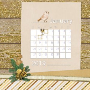 January desktop