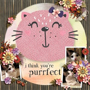 i think youre purrfect