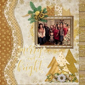 Holiday Dazzle