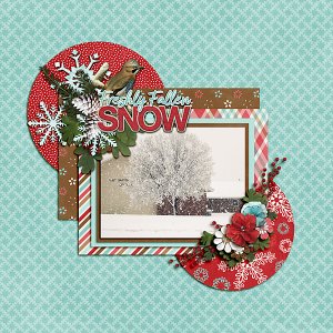 Freshly Fallen Snow