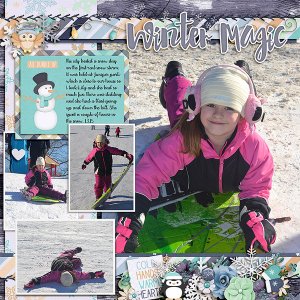 wintersledding