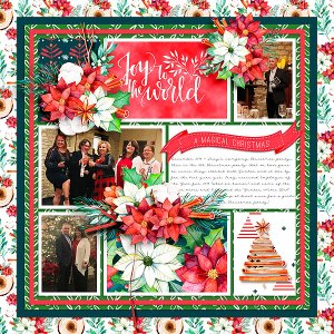 A Magical Christmas