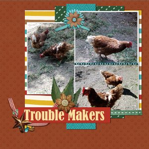 daily_download_18-dec-small