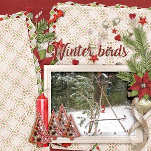 Winter-birds2