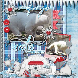 Polar Freeze!!