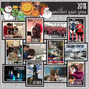 2018 Highlights