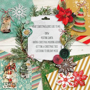 12 Days of Christmas