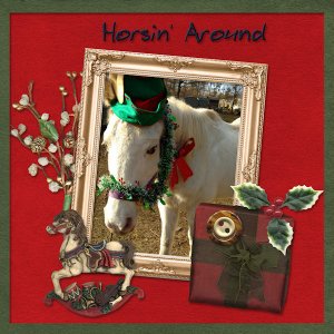 Horsin