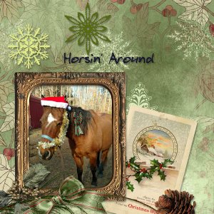 Horsin