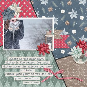 Winter Wish