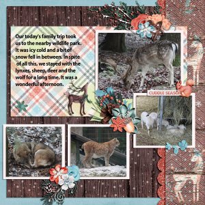 Wildlife