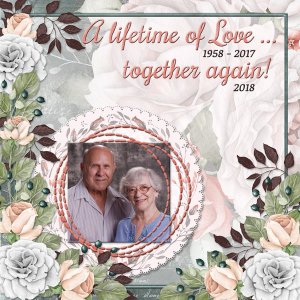 A lifetime of Love  ... together again!