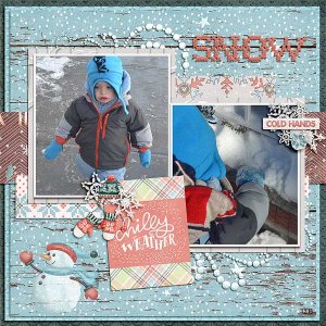 snowjan2015