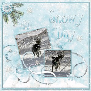 Snowy Day