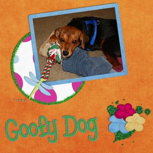 Goofy Dog
