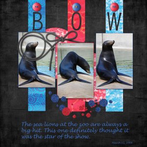 Bow