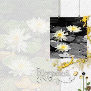 the lilypond