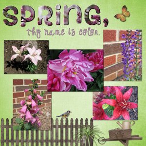 Spring