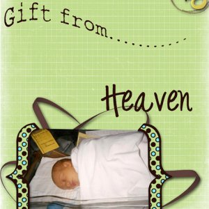 Mission 5 Fonts and Word Art - Scraplift
