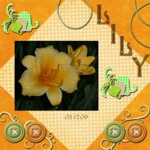 Lily