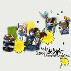 sweet delight
