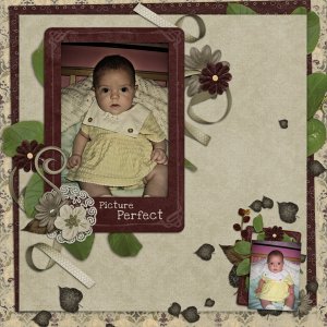 Picture perfect