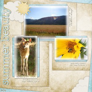 Summer Beauty 2011