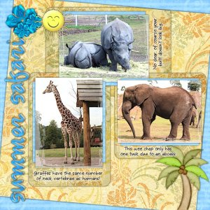 Summer Safari