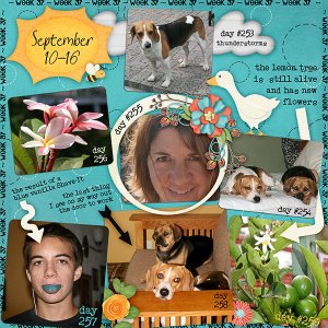 Lisa's Week Thirty Seven