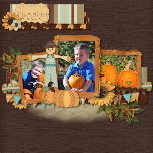 Pumpkin Patch