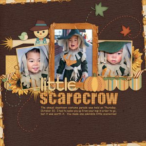 Little Scarecrow