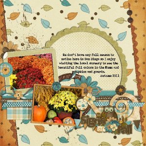 signs of fall