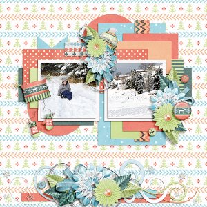 Sledding Fun
