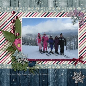 Winter Berry