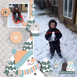 Winter Wishes