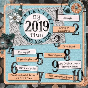 My 2019 Plan