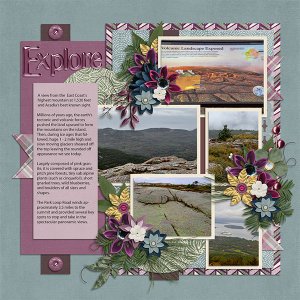 Explore Acadia L