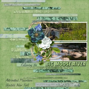 Big Moose River